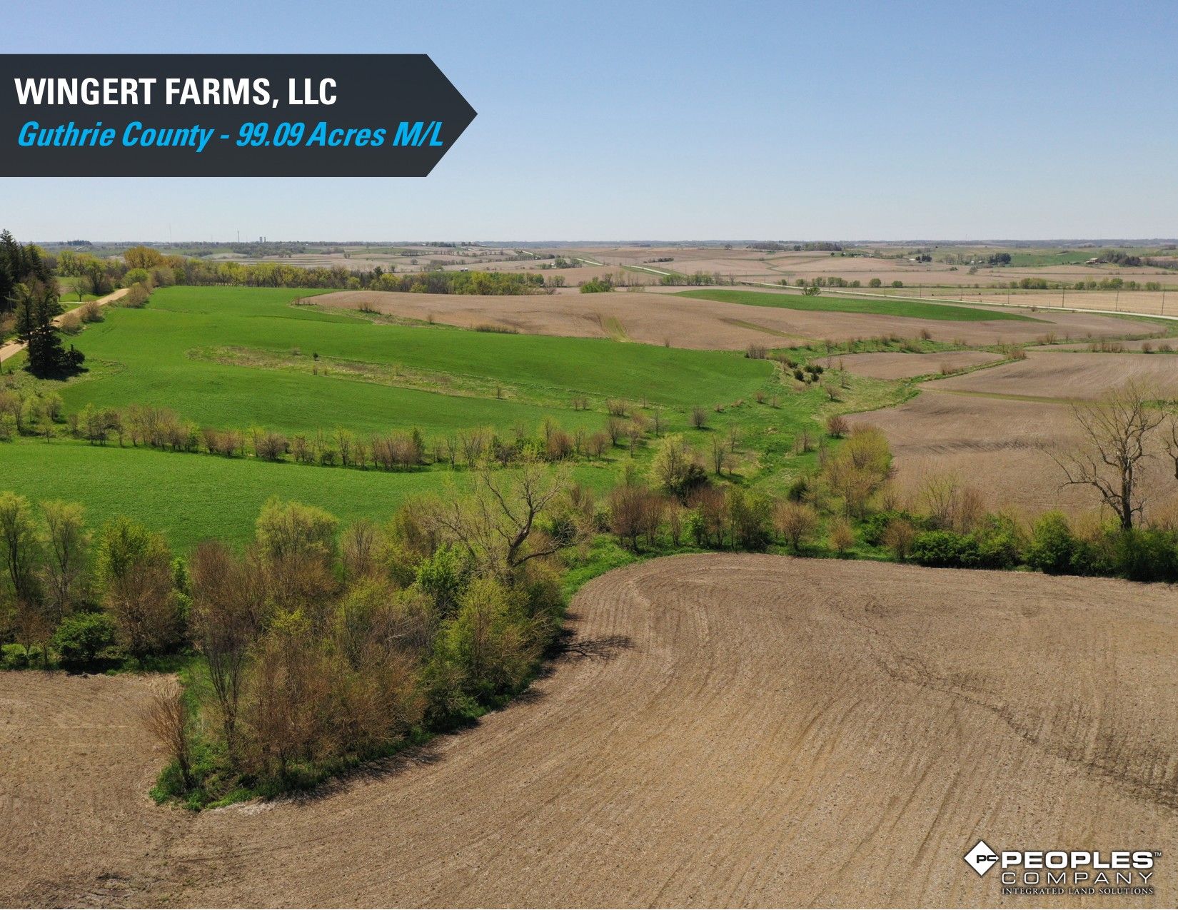 Listing Photo: Guthrie-County-Iowa-Land-Available-Wingert-Farms-99.09-Acres (8)